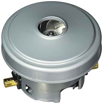 81O+cTQoEtL._UF350,350_QL50_.jpg